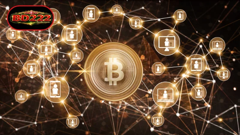 A Comprehensive Look at the BD222 Blockchain Network