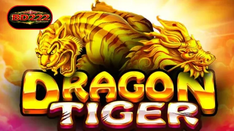 An overview of the Dragon Tiger reward game
