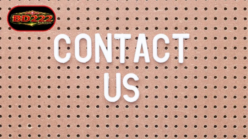 Reasons to Contact BD222 for Immediate Support