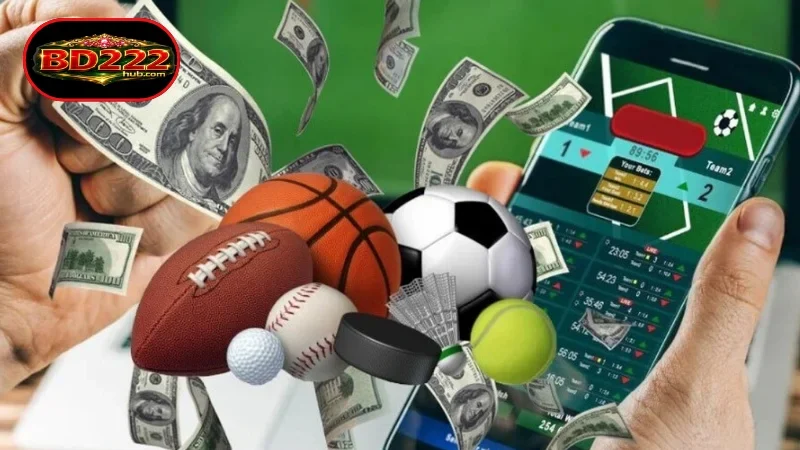 The role of sports betting at BD222